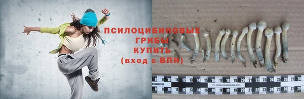 apvp Волосово