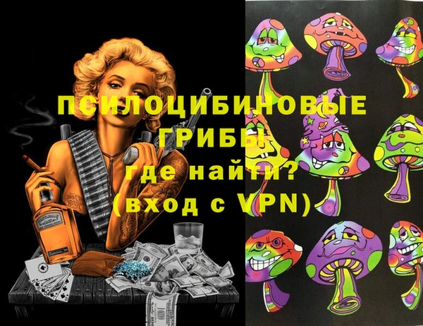 бошки Бронницы