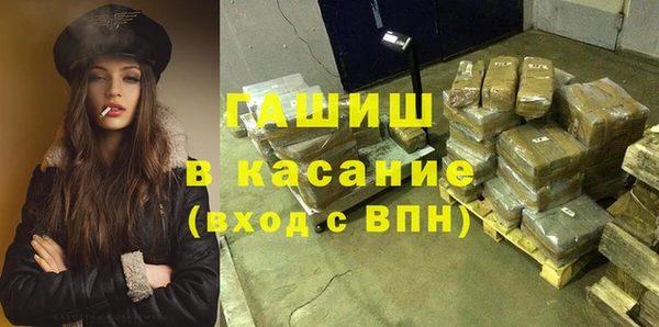 гашик Сосновый Бор