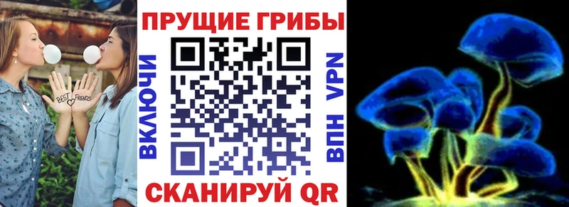 Псилоцибиновые грибы ЛСД  закладки  Западная Двина 